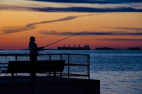 How poisonous mercury can get from coal-fired power plants into fish you eat — EPA just weakened rules meant to lower the risk