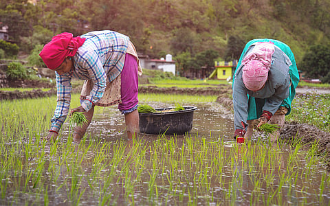 Putting farmers first: How Bharat-VISTAAR turns digital infrastructure into real-world decisions for Indian agriculture