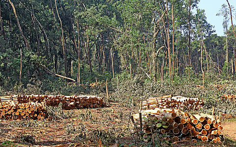 SOE 2026: Forestland diversion