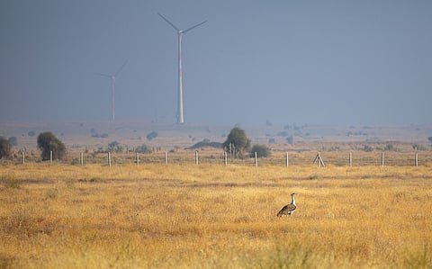 Nearly 60 per cent of customary lands in 64 countries face industrial pressure, renewable energy projects lead overlap: FAO-led report