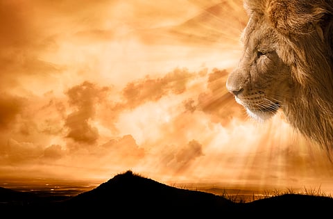 Operation ‘Roaring Lion’: Here is why the planet’s second-largest cat is a recuring motif in Judaism