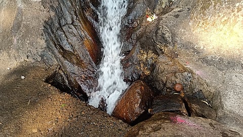 Gandhamardan, Odisha: Where sacred ecology sustains lives