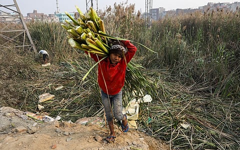 A nameless wetland near Delhi that sustains livelihoods