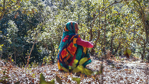 A step back by Uttarakhand