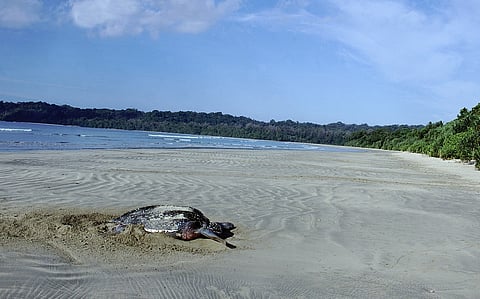 In fragile ecosystems like Great Nicobar, constitutional wisdom lies in ensuring that transformation is ecologically sustainable, socially just