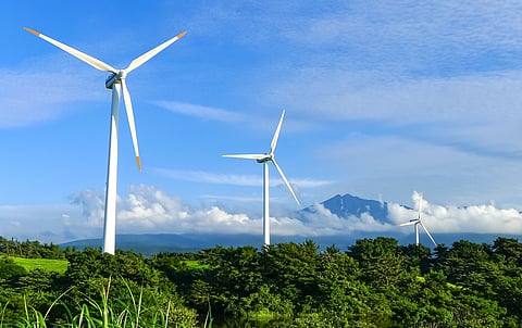 Asian utilities face investor heat over capital allocation and climate gaps