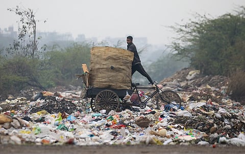 They clean our surroundings, endangering their lives in return