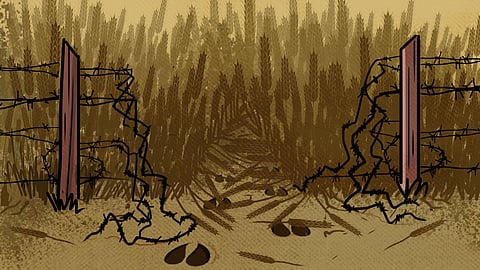 Conflict in the backyard