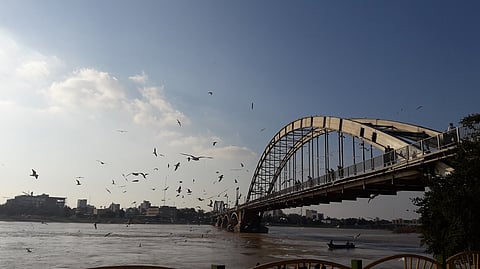 Did you know about the bull sharks of the Karun river in Iran’s Ahvaz?