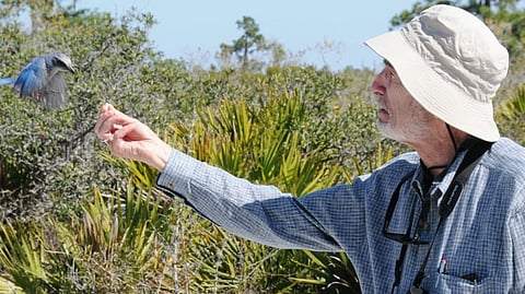 Biologist Paul R Ehrlich in 2010.