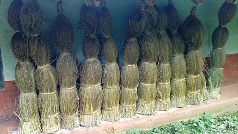 After harvesting, the grass is sorted by length and quality before being bundled for drying, a process that enhances the fibre’s strength and longevity