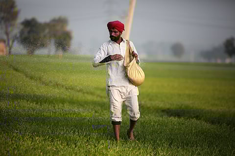 Death of winter: Heat arrives early, threatens to shrink Punjab and Haryana’s wheat harvest