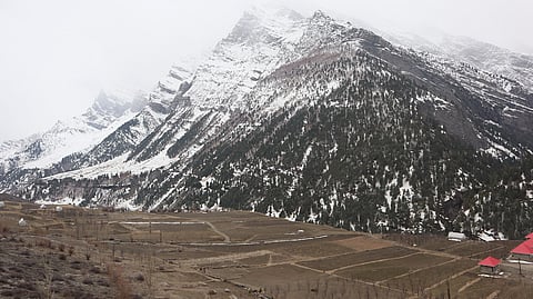 It feels as if the spring never arrived