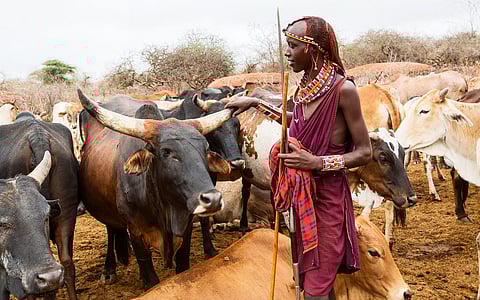 Growing resistance to critical antibiotic raises alarm across Africa, finds study