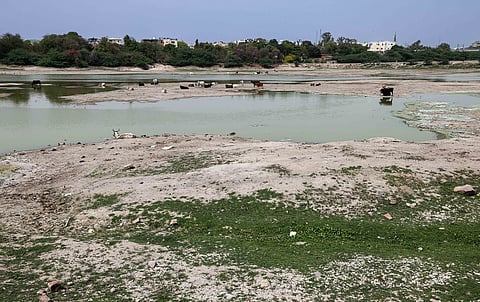 Delhi’s Sanjay Lake, a stressed ecosystem