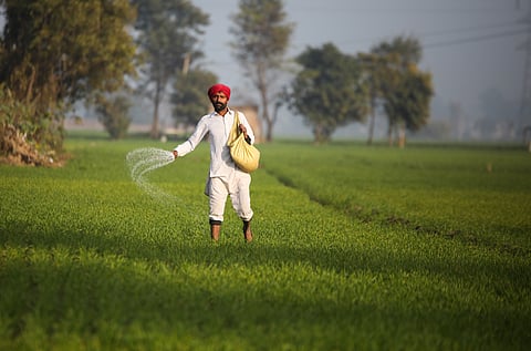 A farmer in Punjab spreads urea across his field
