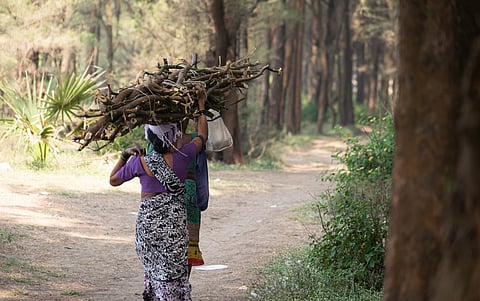A map doesn’t reflect the complexity of living in India’s forest fringes