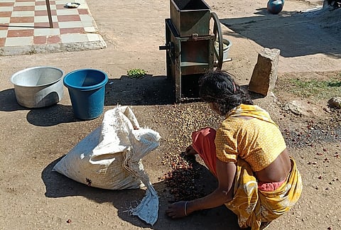 When biodiversity science speaks to business, who speaks for the forest and the sea?