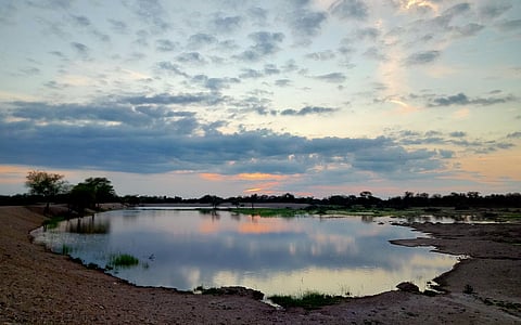 Decentralised water conservation structures are critical for India, not as substitutes, but as complements to large irrigation systems