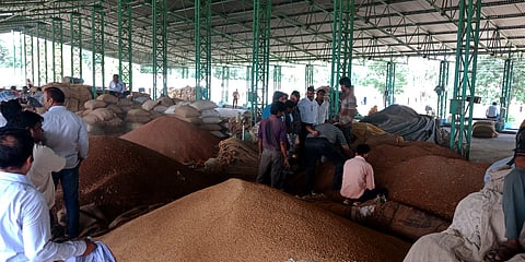 MSP in India: It’s not just about price