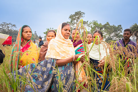 International Seed Day 2026: The women behind Odisha’s millet revival