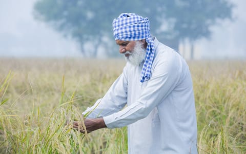 When regional drought becomes a national monetary policy trap