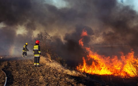 Europe recorded widespread impacts of warming in 2025, from the Arctic to the Mediterranean: Report