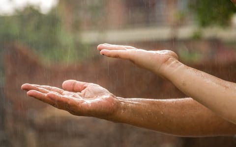 May 2026 to remain cool for many parts of India due to rainfall: IMD