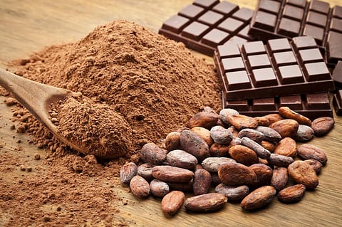 Several economies are dependent on cocoa. Photo for representation: iStock