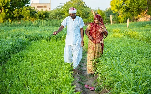 Budget 2024-25: Agri sector sees 4.5% growth in allocation; boost to pulses, oilseeds but other schemes overlooked