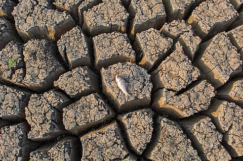 Photo: iStock