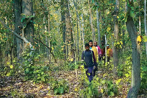 Hathi mitras trek 5-15 km every day inside the Udanti-Sitanadi Tiger Reserve in Chhattisgarh to track the movement of elephants and alert village residents if the animals are in close proximity. (Photographs: Prajjwal Thakur)