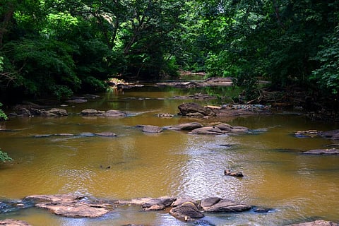 The Osun River in Nigeria has high levels of microplastics in its water, sediment and fish. Photo: iStock