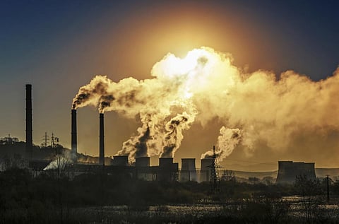Photo: iStock