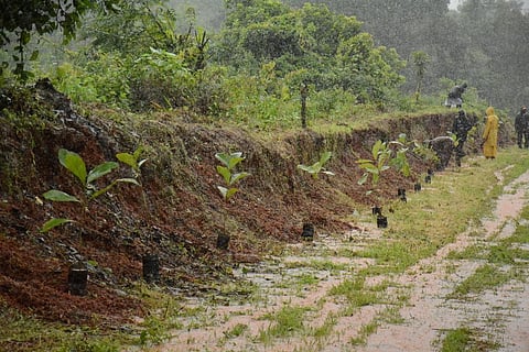 Photo: Author provided