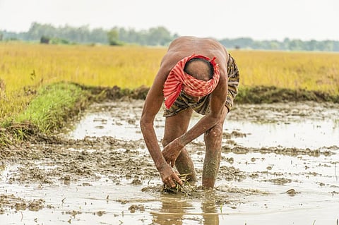 Photo: iStock
