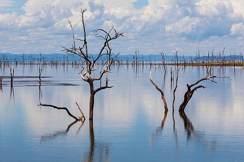 Photo for representation: iStock