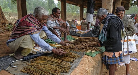Men selling tobacco leaves at the weekly market in Laxmipur, Odisha. iStock photo for representation