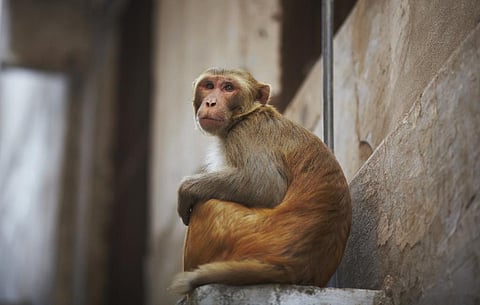 Photo for representation: iStock