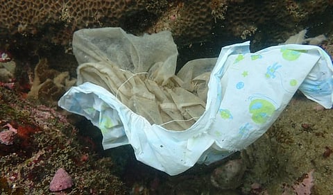 A baby’s diaper spotted by the author in a coral reef off the Maharashtra coast. Photo: Aditya Kakodkar/WWF-India