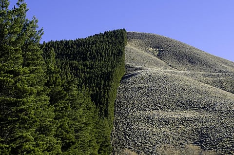 Photo: Bridget Besaw / The Nature Conservancy