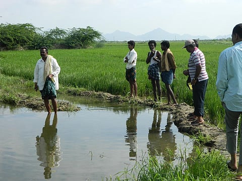 Ananthapuramu is the district most affected by drought and has 83.67% of its cultivated area relying on rainfed agriculture. File photo: CSE