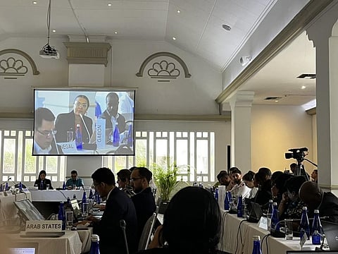 Talks at TED9 at Cartagena, Republic of Colombia. Photo: @ZitaWilks / X (formerly Twitter)