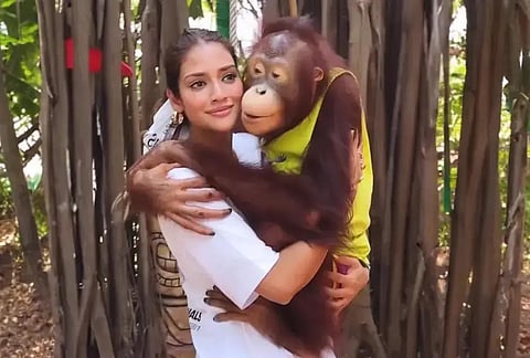 Source: Screengrab from Nusrat Jahan's Instagram video