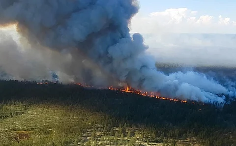 Burning taiga in Russia. Representative photo from iStock