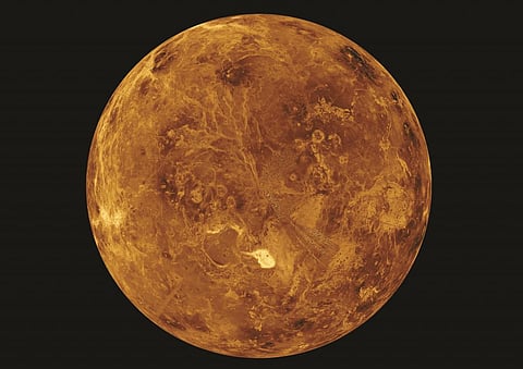 The terrain in the northern hemisphere of Venus, based on radar data from NASA's Magellan mission. Photo: NASA/JPL