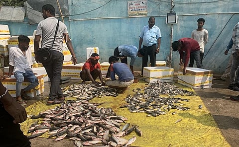The Ganga Sagar pond in Mithilanchal’s Darbhanga supports many fishers in the city and its surrounding areas. Photo: Seetu Tiwari