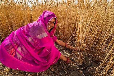 भारत में महिलाएं पुरुषों की कमाई के 100 रुपये पर औसतन 39.8 रुपये कमाती हैं।