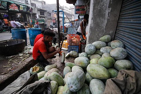 प्रतीकात्मक तस्वीर: सेंटर फॉर साइंस एंड एनवायरनमेंट