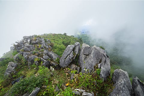 प्रतीकात्मक तस्वीर: आईस्टॉक